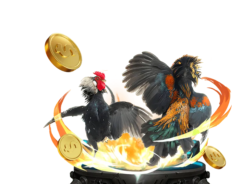 Đá gà trực tuyến kịch tính